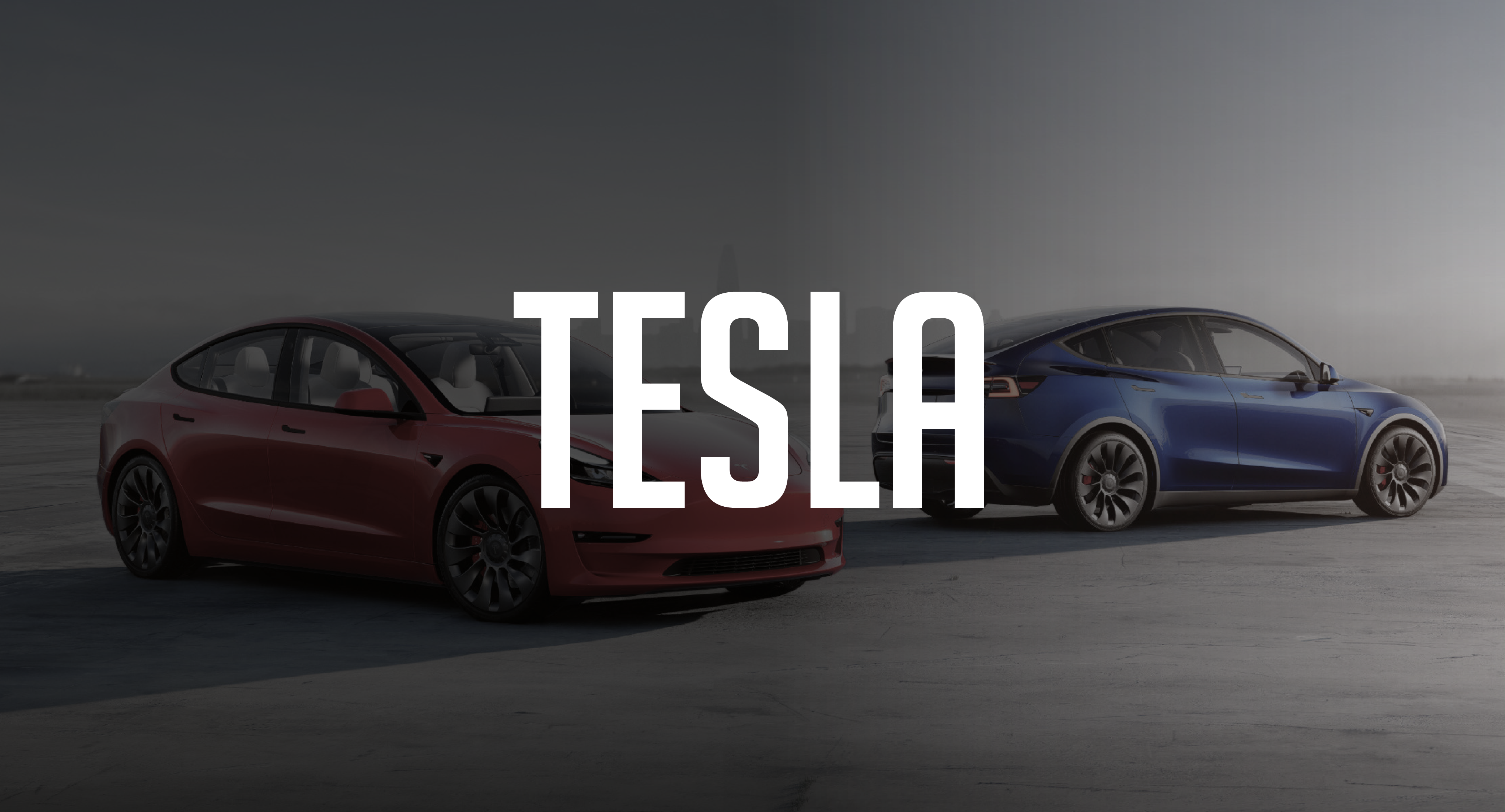 TESLA – Justmate Thailand